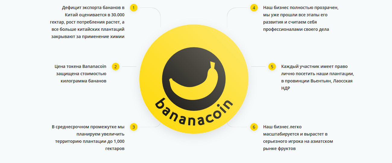 Что такое Bananacoin, и почему бананы связаны с блокчейном