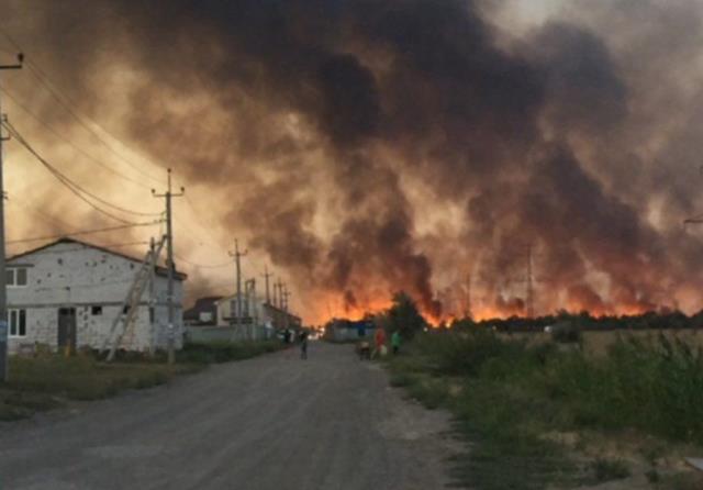 пожар в Кумженской роще в Ростове-на-Дону