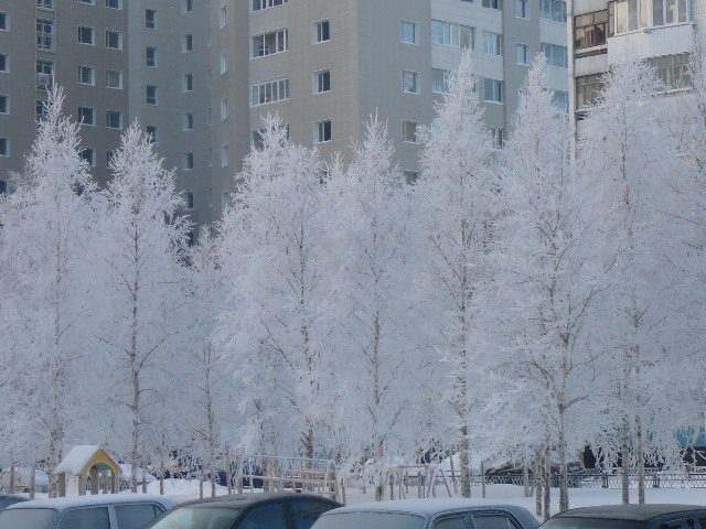 актировка Сургут 29.11.2018 1 и 2 смена