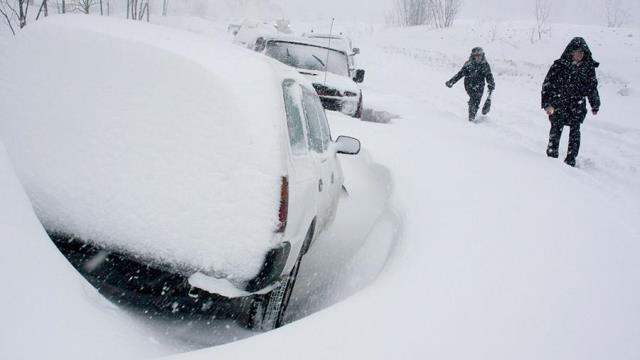 Камчатка отмена занятий в школах