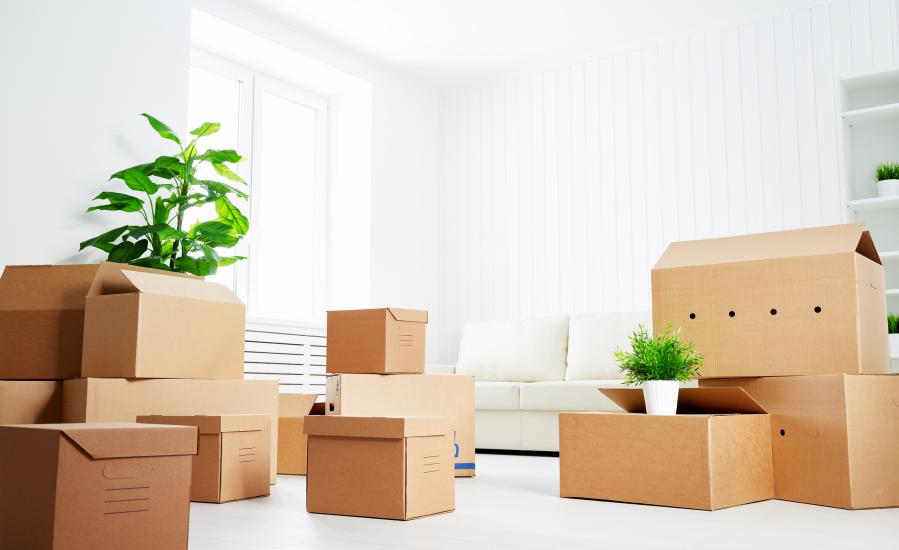 Коробки для переезда: почему выгодно использовать и где их взять